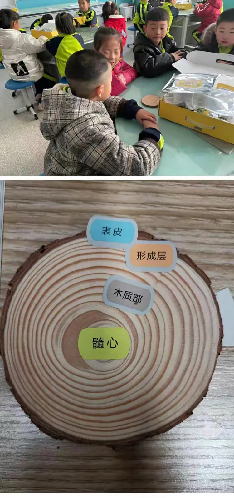 森林地球科学小实验,森林地球科学小实验有哪些 森林地球科学小实验,森林地球科学小实验有哪些