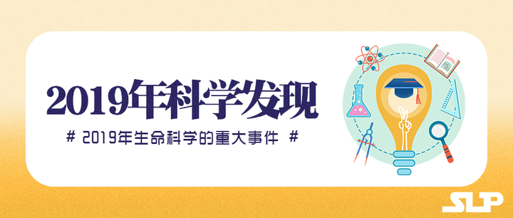 生命科学事件分析,生命科学事件分析报告