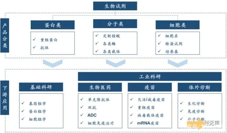 生命科学设备投资逻辑,生命科学仪器是什么级别期刊