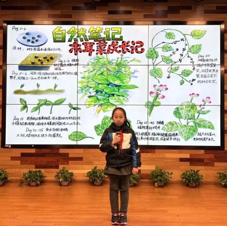 生命科学实验蔬菜种植,生命科学实验蔬菜种植实验报告