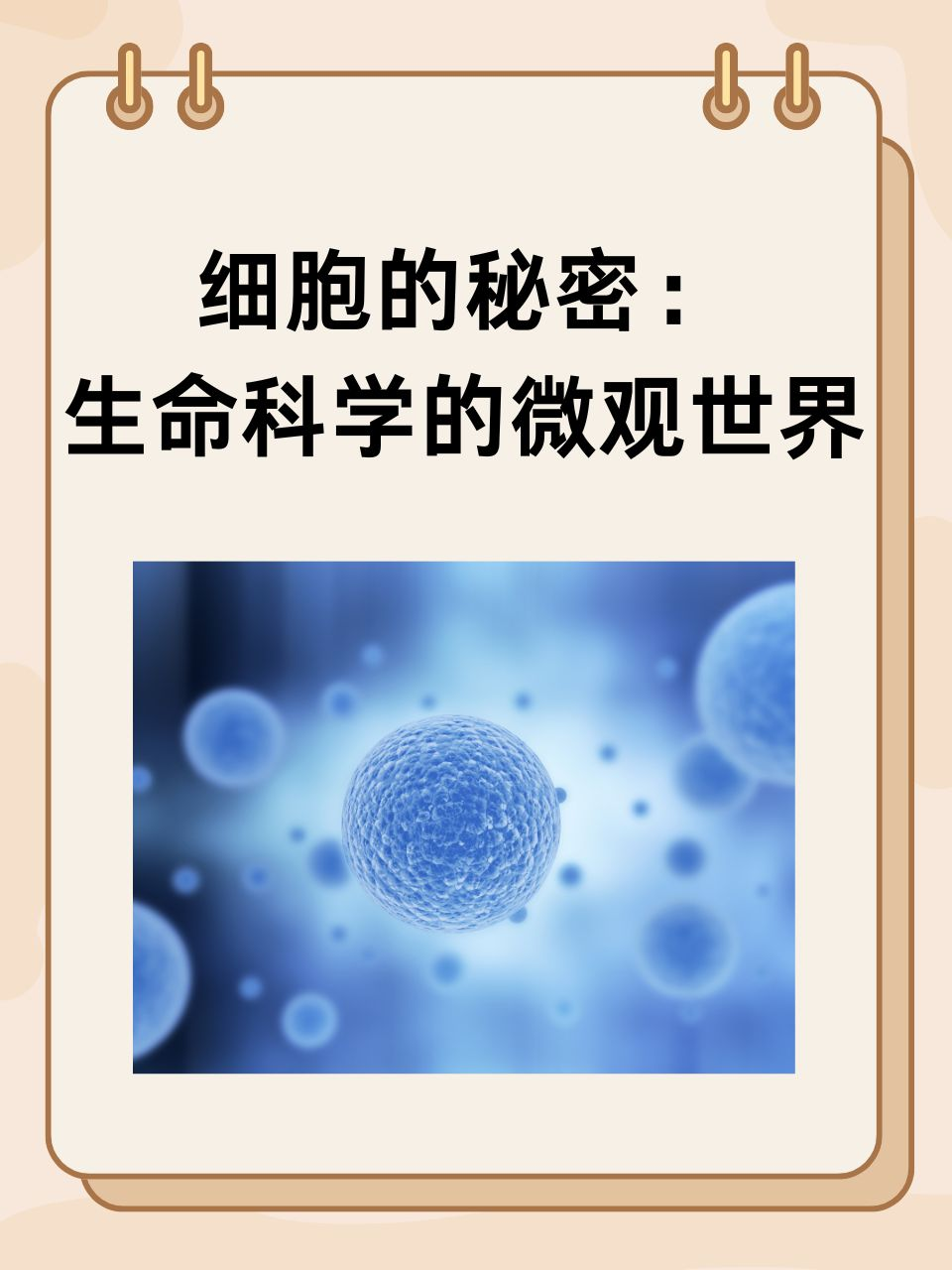 生命科学微观方面,生命科学微观方面有哪些 生命科学微观方面,生命科学微观方面有哪些