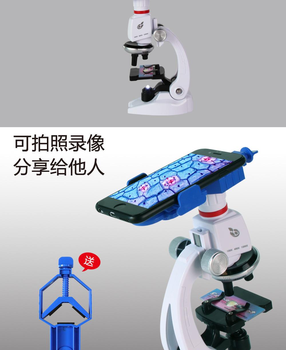 生命科学益智贴,生命科学科普知识