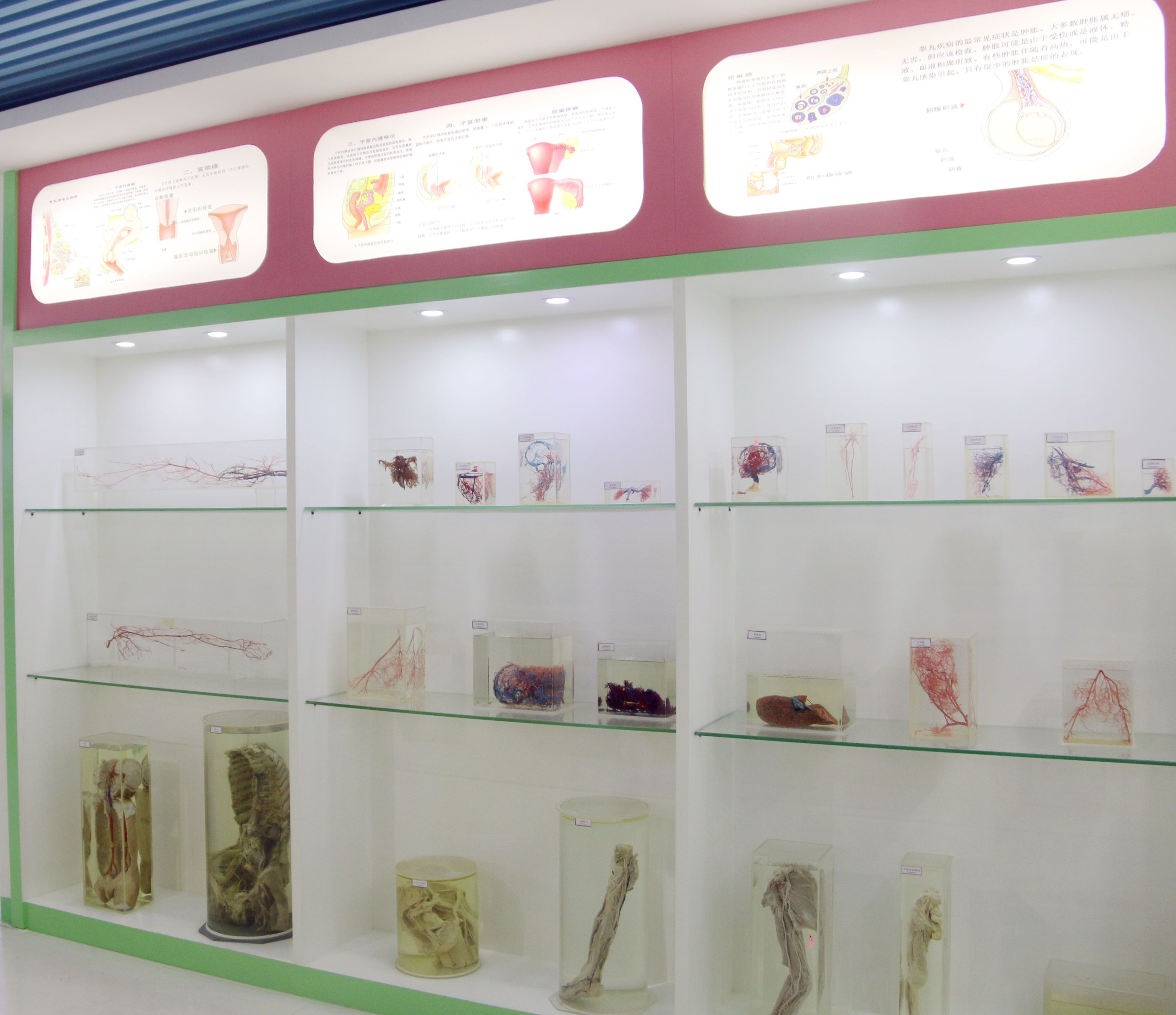 山西生命科学馆解说,山西生物研究院有限公司 山西生命科学馆解说,山西生物研究院有限公司