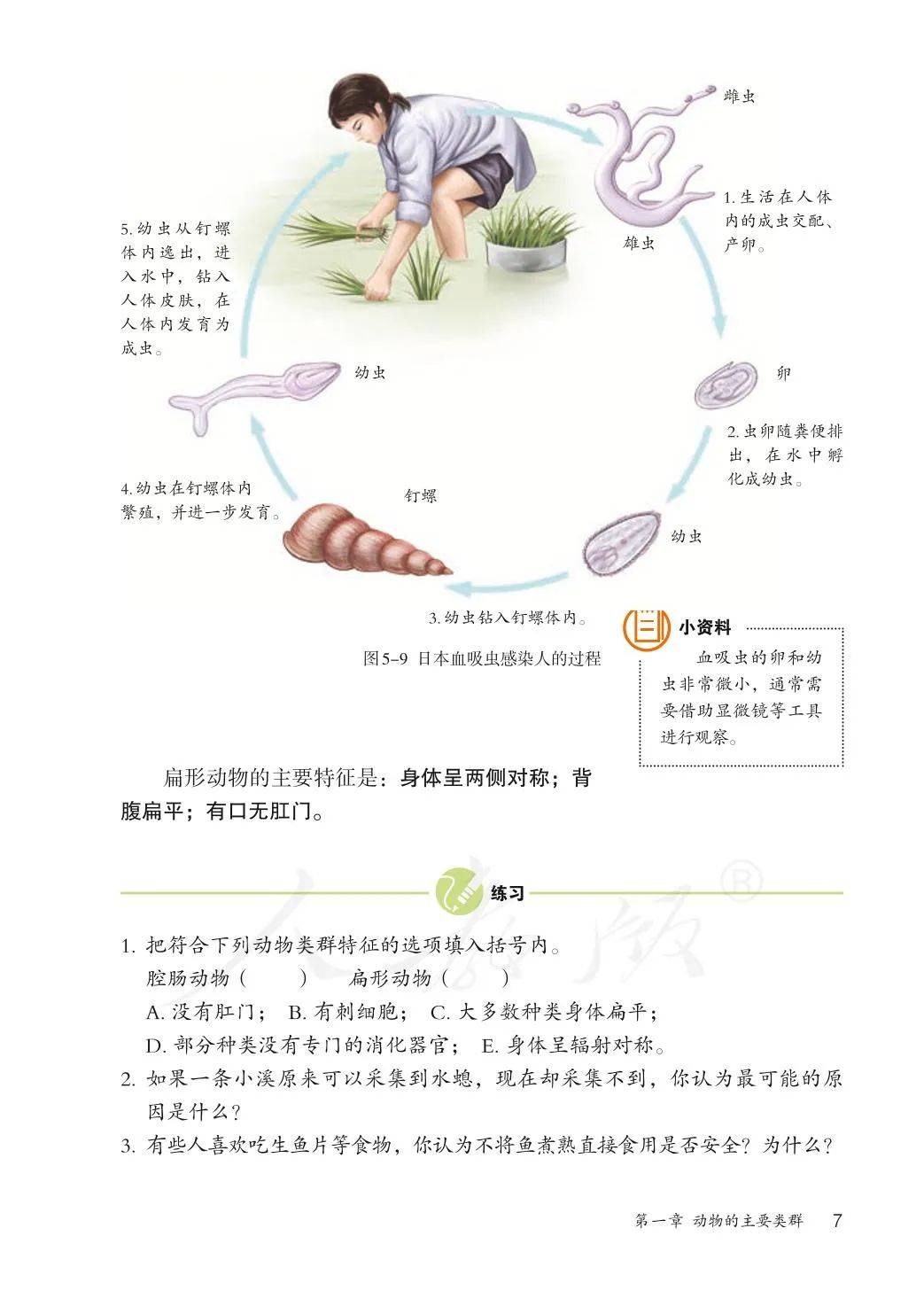 初中八上生命科学整理,初中生命科学第一册沪教版