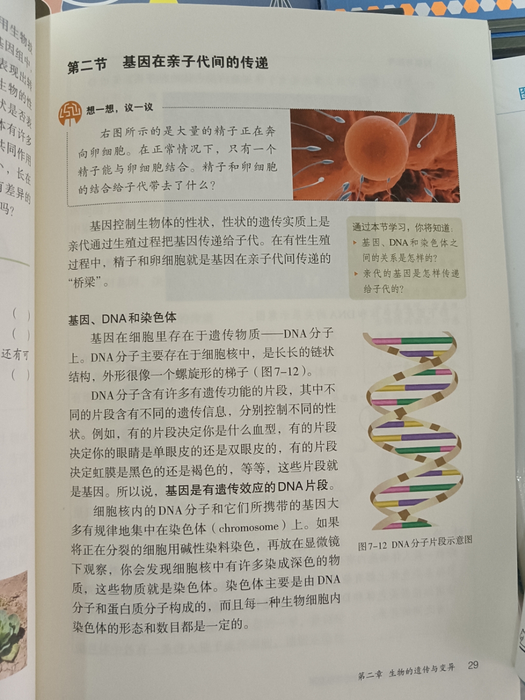 初中八上生命科学整理,初中生命科学第一册沪教版 初中八上生命科学整理,初中生命科学第一册沪教版
