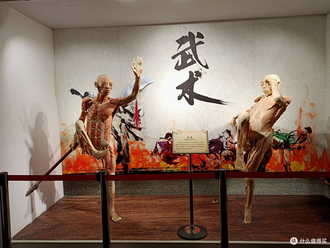 生命科学园要门票吗,生命科学园要门票吗多少钱 生命科学园要门票吗,生命科学园要门票吗多少钱