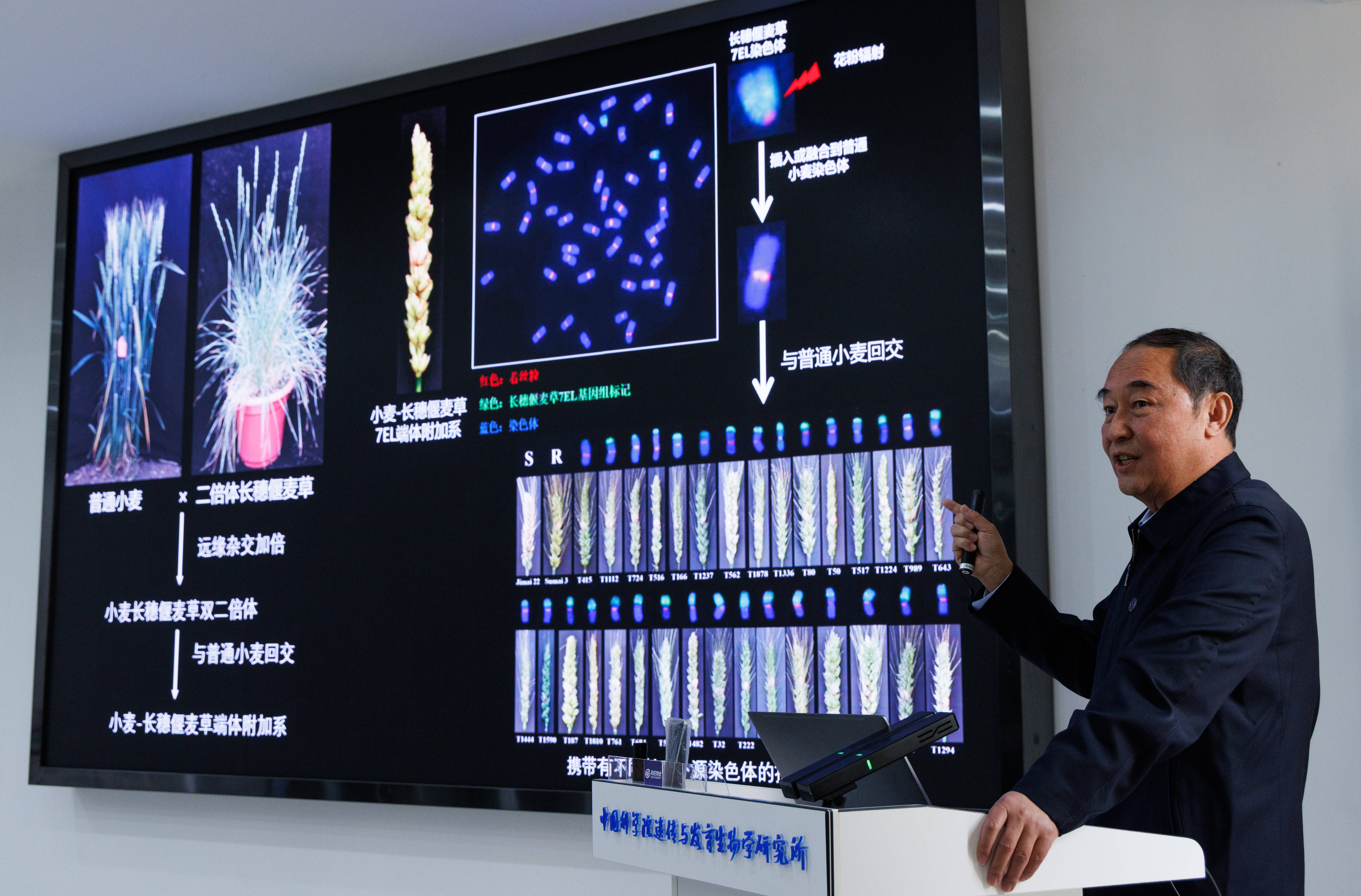 中科院生命科学怎么样,中科院生命科学学院预推免