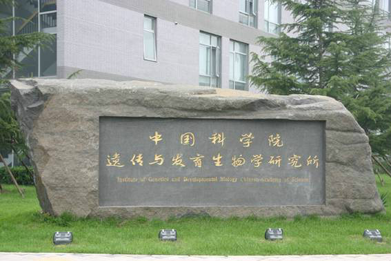 中科院生命科学怎么样,中科院生命科学学院预推免 中科院生命科学怎么样,中科院生命科学学院预推免