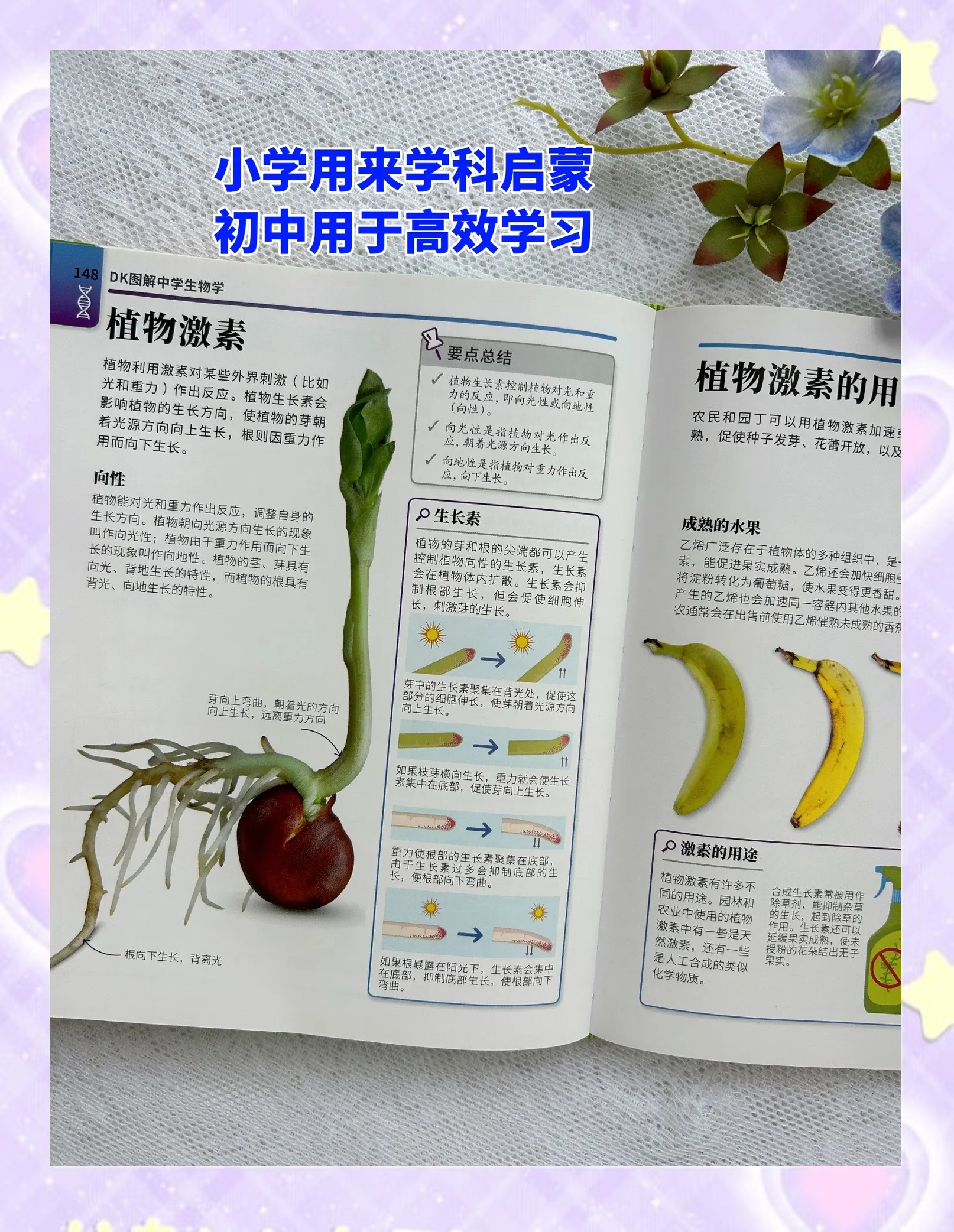 生命科学的书小学生,生命科学最著名的三本书