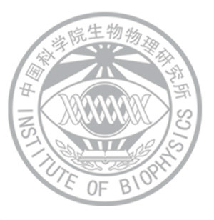 二本中科院生命科学,二本中科院生命科学专业排名 二本中科院生命科学,二本中科院生命科学专业排名
