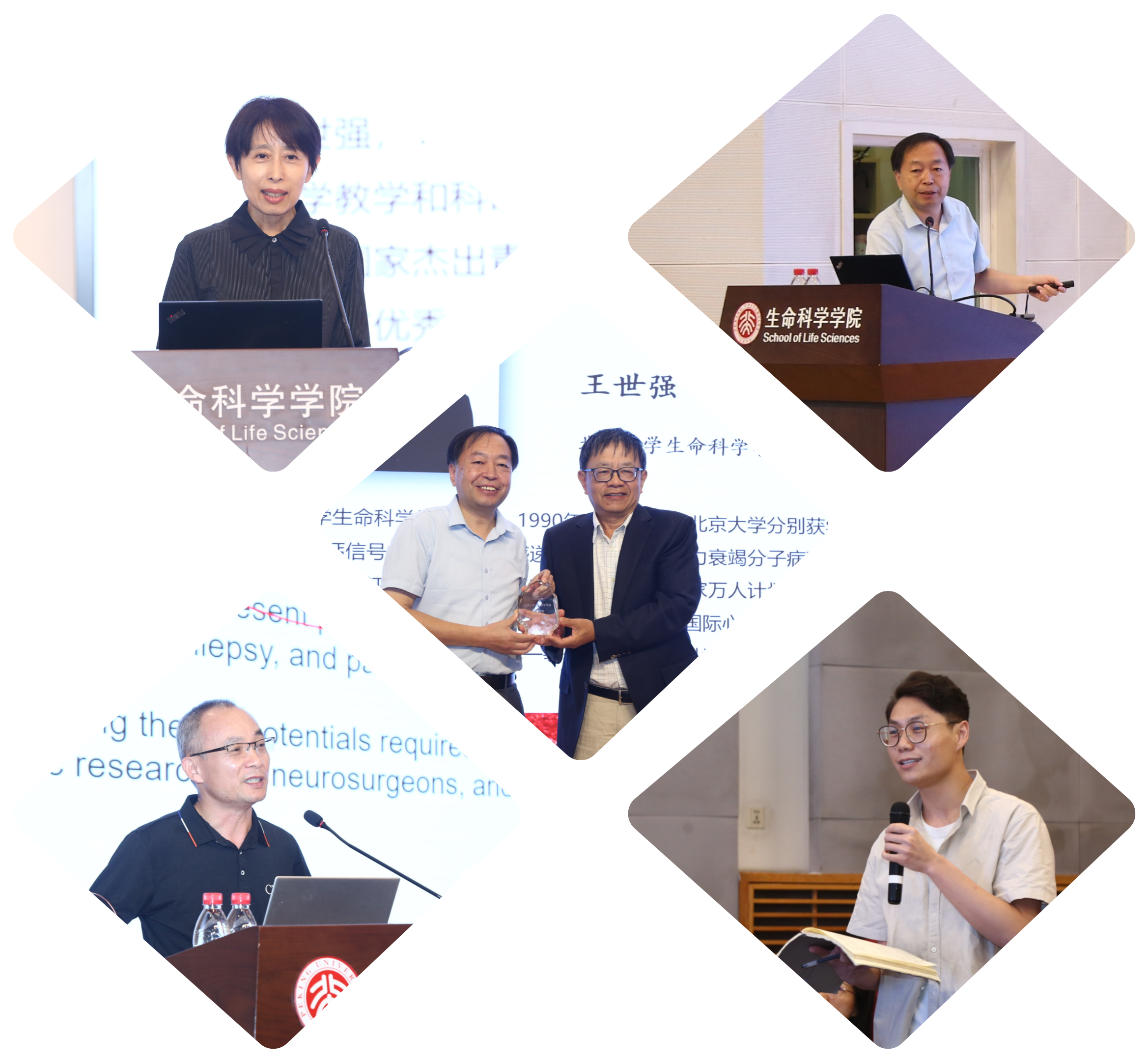 生命科学院博士江梦南,生命科学院博士江梦南简介 生命科学院博士江梦南,生命科学院博士江梦南简介