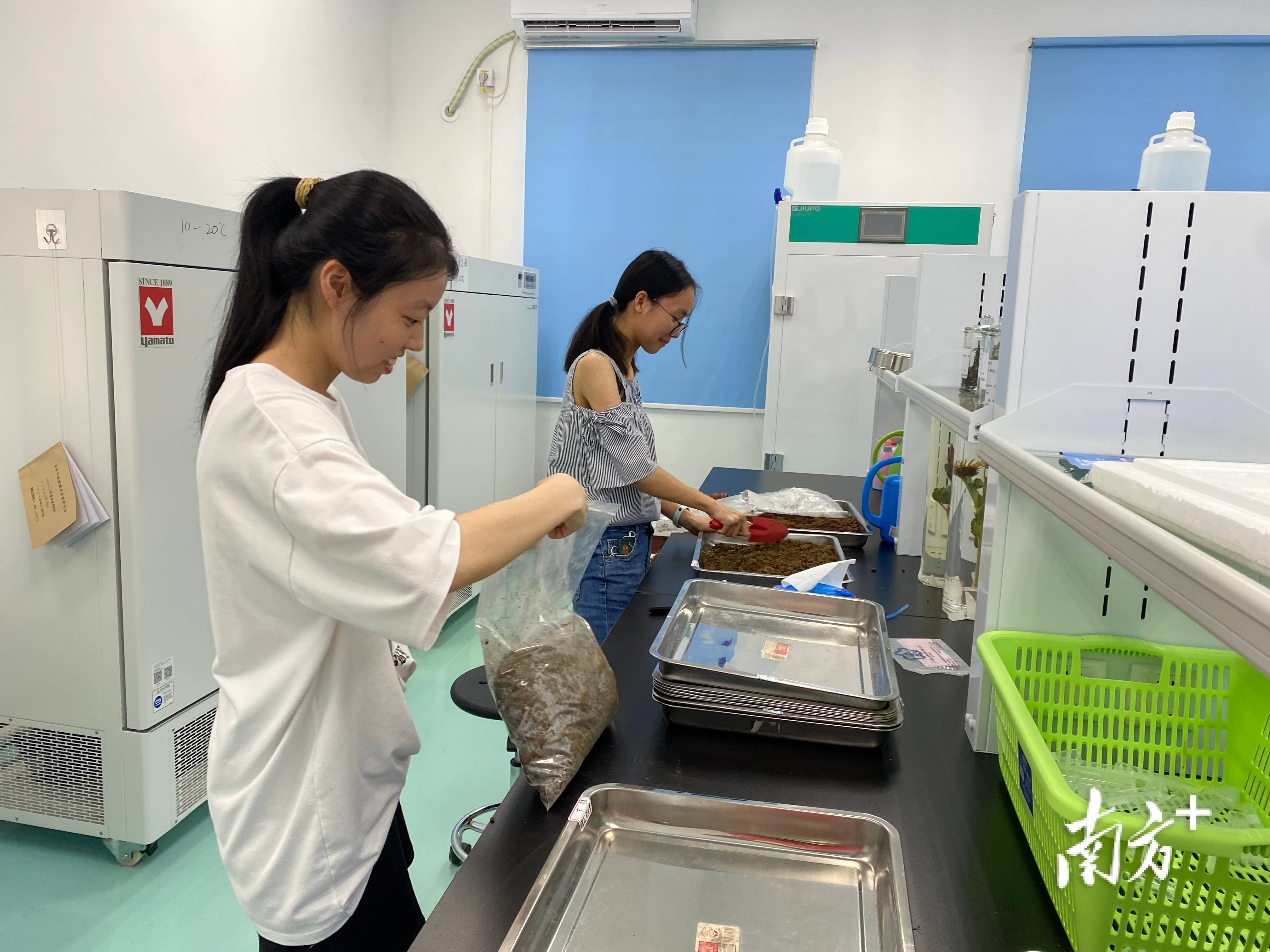 嘉应学院生命科学基础,嘉应学院生科院教师名单