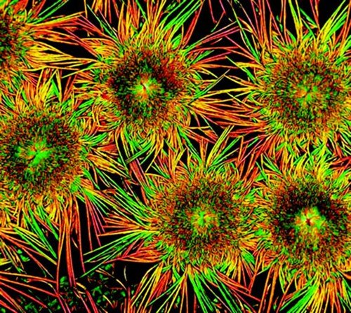物理上的微观世界,物理学进入微观世界的研究 物理上的微观世界,物理学进入微观世界的研究