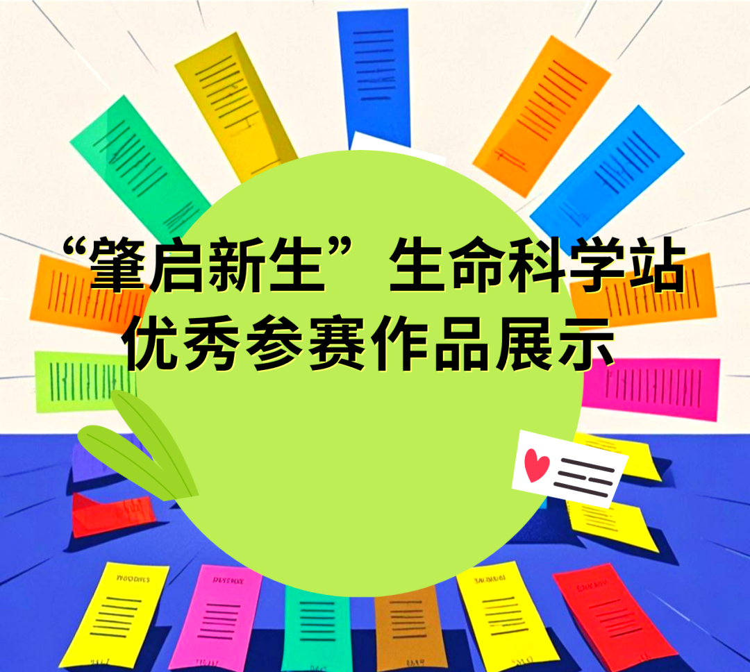 生命科学系列,生命科学系列第一季在线观看