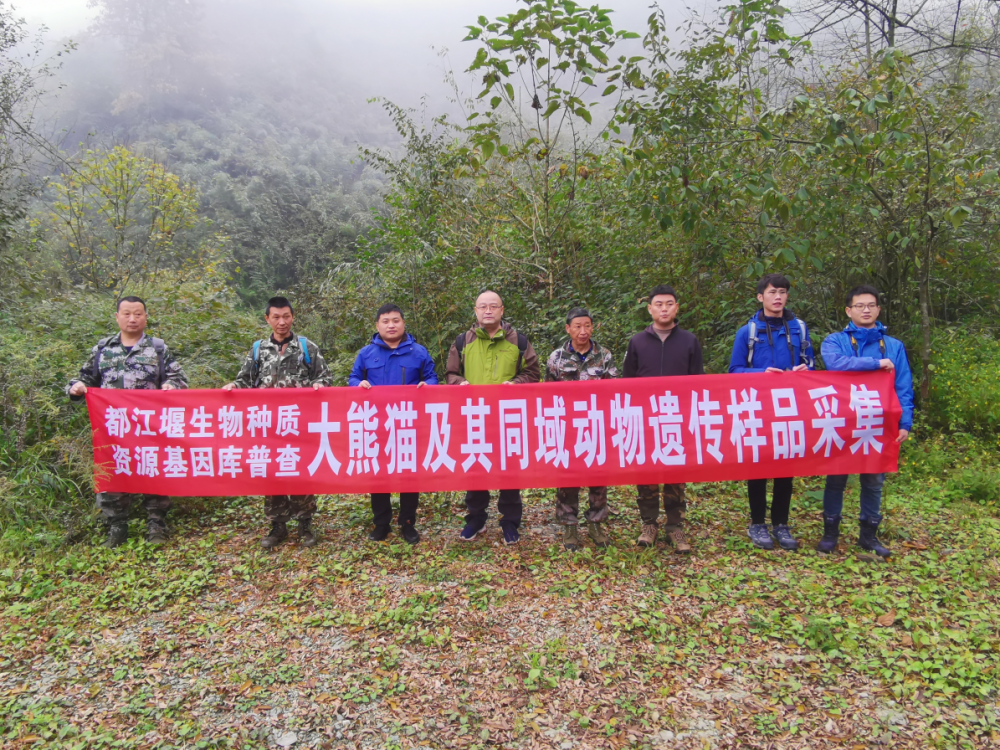都江堰的生命科学院,中国生物都江堰血浆站