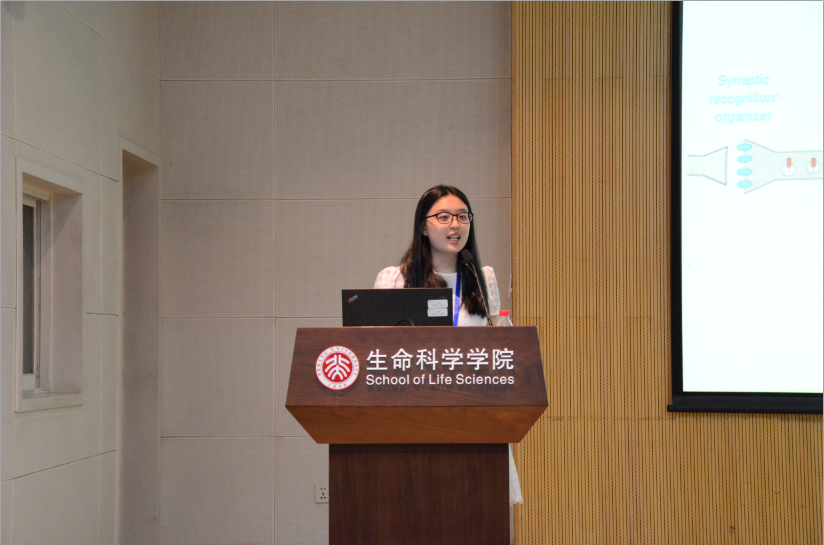 北大生命科学基础课,北大生命科学专业学什么