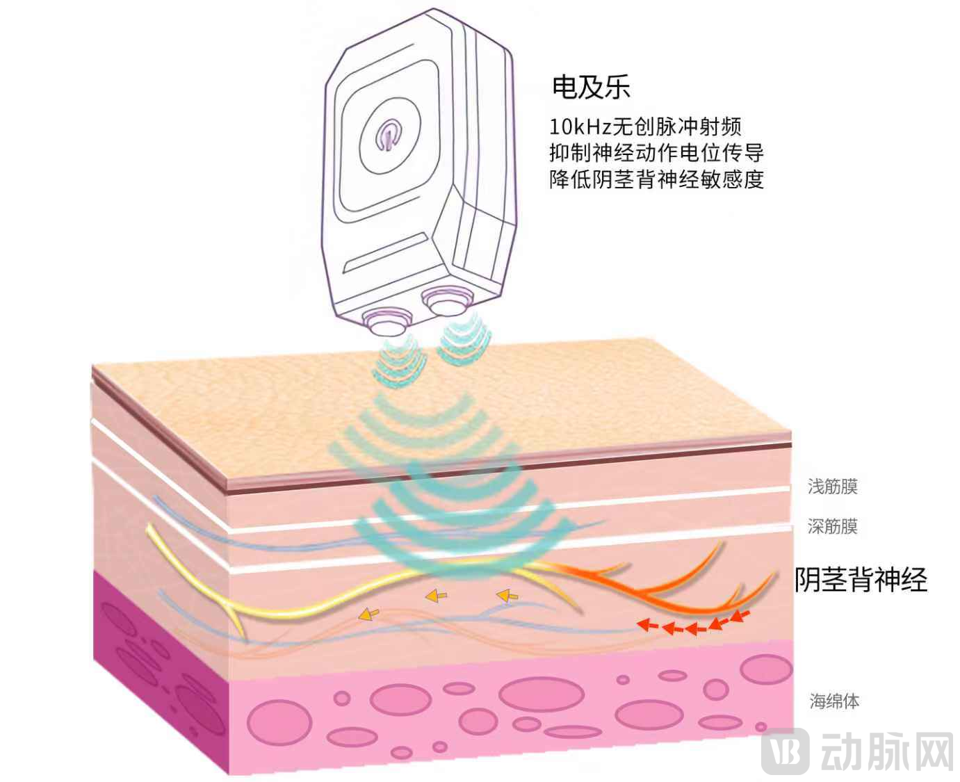 世界最神奇物理疗法,世界最神奇物理疗法是什么 世界最神奇物理疗法,世界最神奇物理疗法是什么