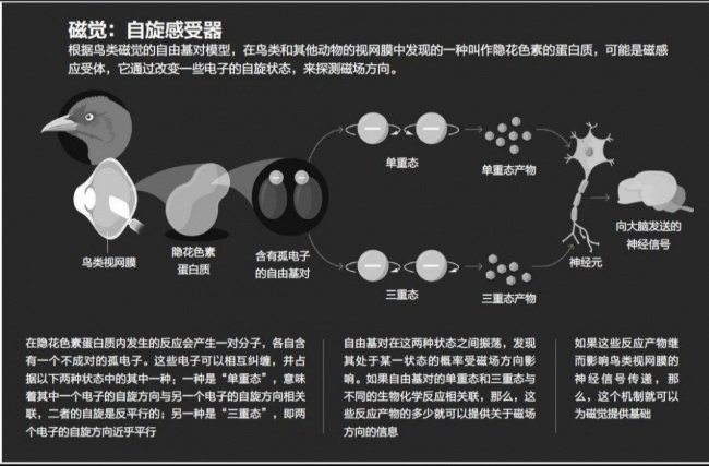 生命科学前沿成果,生命科学领域最新研究成果