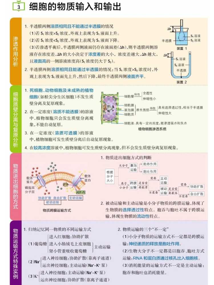 谈谈对生命科学的理解,谈谈对生命科学的理解和认识 谈谈对生命科学的理解,谈谈对生命科学的理解和认识