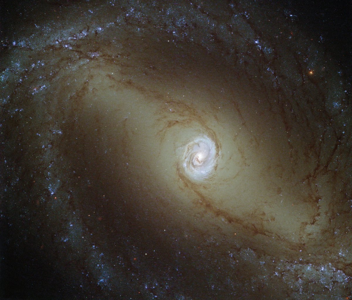 天文科普恒星,恒星天文学是什么