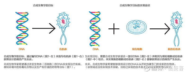 生命科学最新趋势,生命科学最新趋势分析 生命科学最新趋势,生命科学最新趋势分析