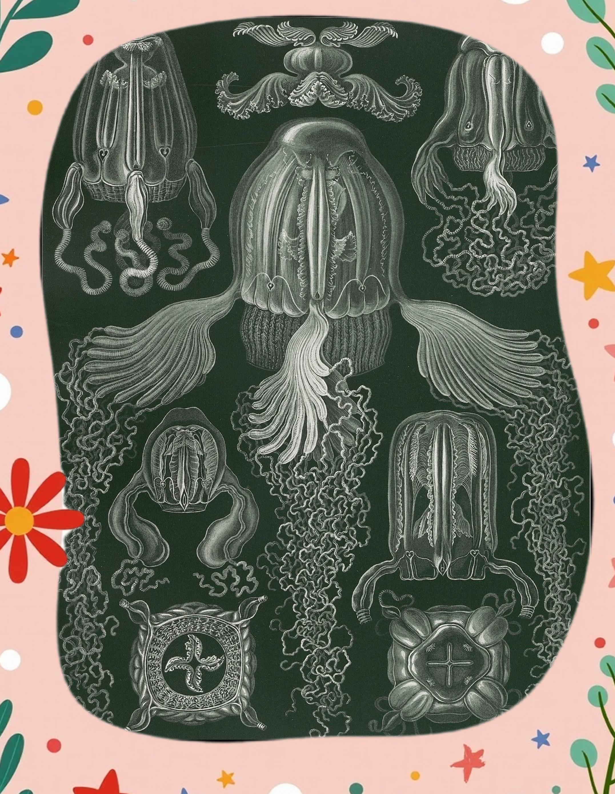 圆盘绘画生命科学,圆盘画关于科学家的图片