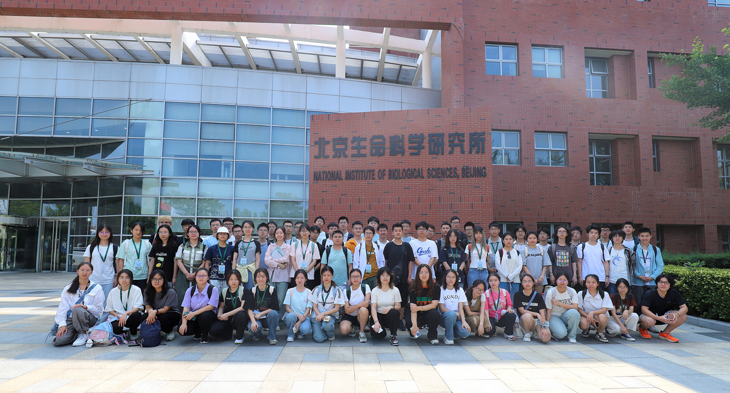 生命科学系应用化学系,生命科学系应用化学系是什么