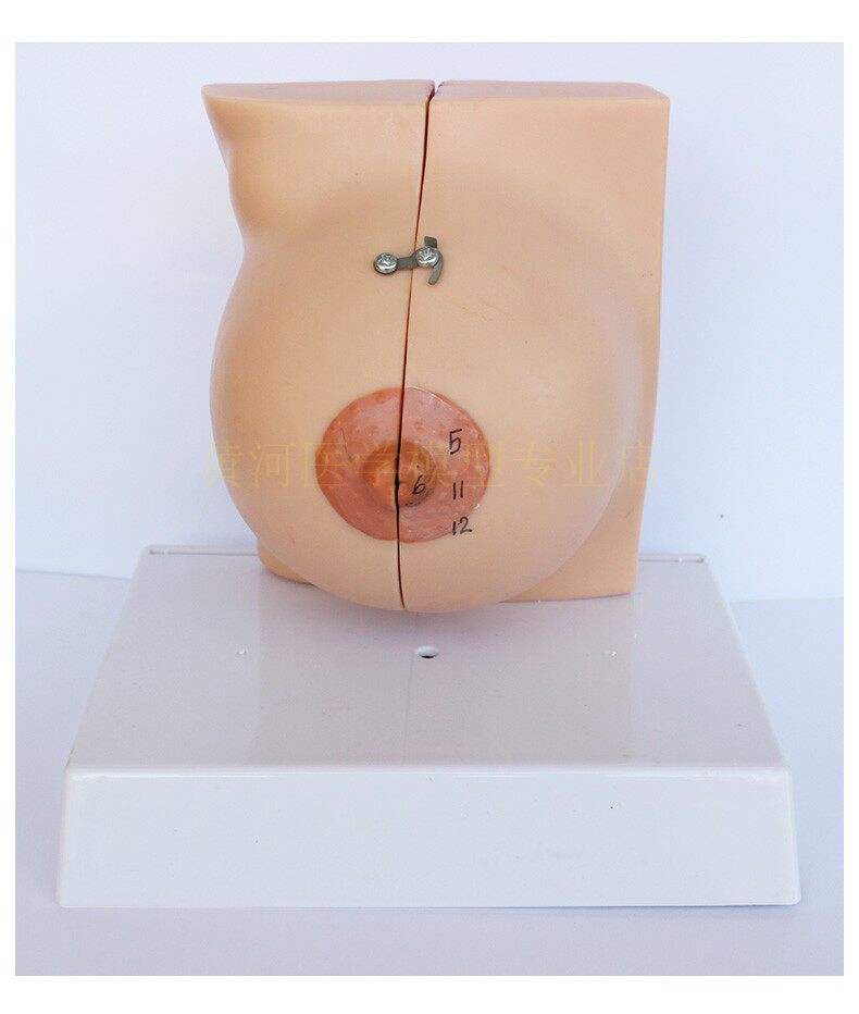 生命科学馆乳腺展区,怎么接受母亲癌症晚期