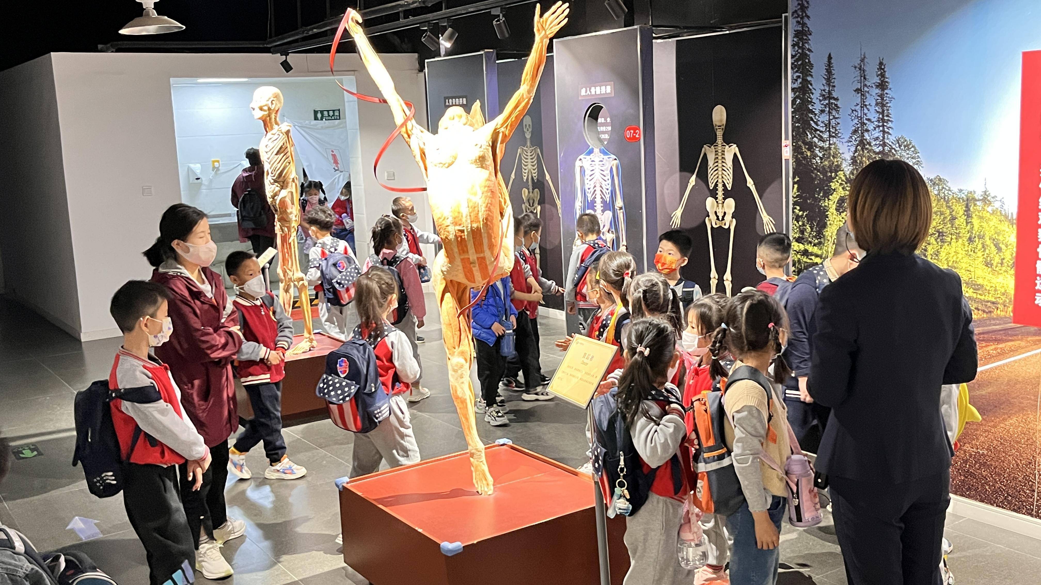生命科学馆乳腺展区,怎么接受母亲癌症晚期 生命科学馆乳腺展区,怎么接受母亲癌症晚期
