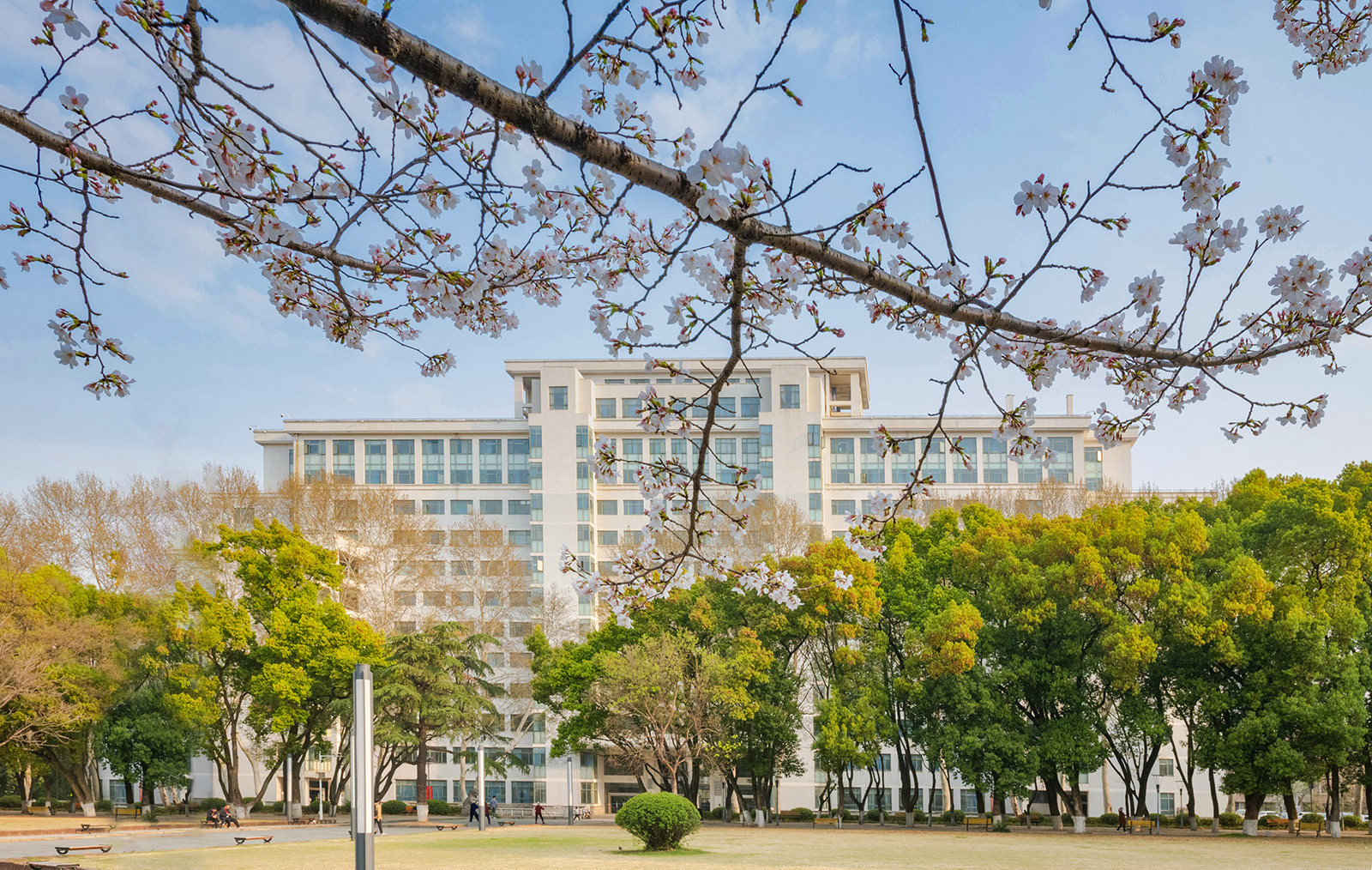 吴珊生命科学学院,沙特被曝两度致电特朗普求援