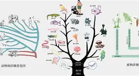 智慧树地球科学答案,智慧树外科学章节测试答案