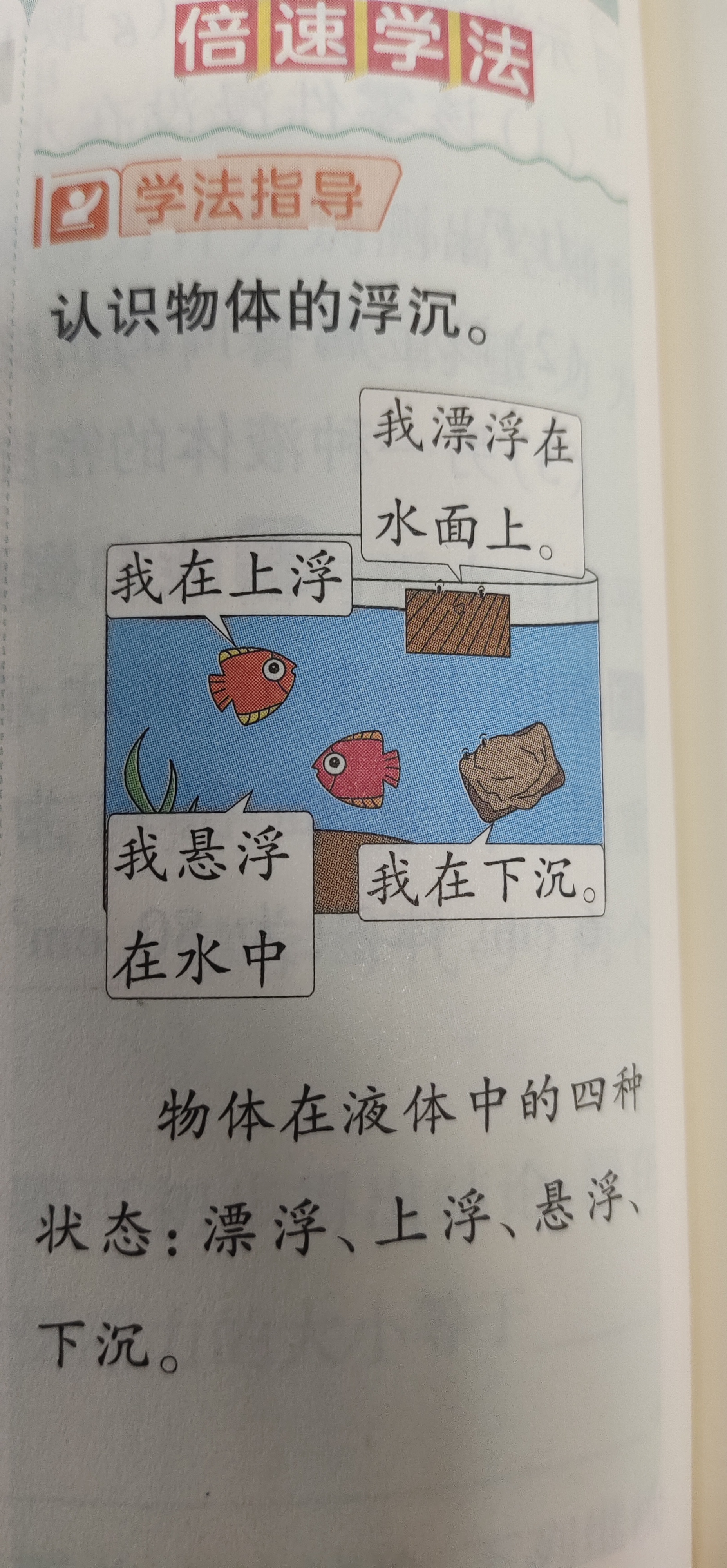 物理世界沉浮之力,物理浮沉条件的5种状态 物理世界沉浮之力,物理浮沉条件的5种状态