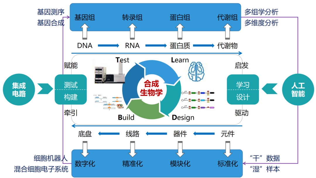 国际生命科学发展状况,国际生命科学发展状况分析 国际生命科学发展状况,国际生命科学发展状况分析