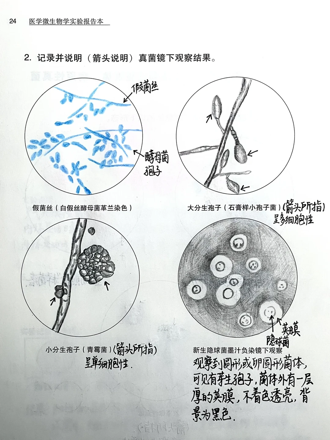 生命科学课后作业,生命科学课后作业答案 生命科学课后作业,生命科学课后作业答案
