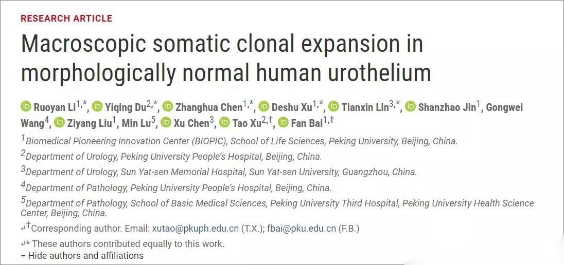 白凡生命科学院,高市早苗捞到救命稻草 白凡生命科学院,高市早苗捞到救命稻草