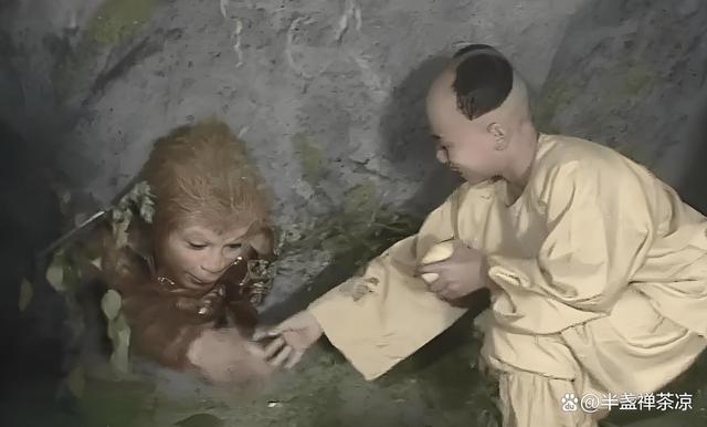 西游记中的生命科学,西游记中的生命科学思维导图 西游记中的生命科学,西游记中的生命科学思维导图