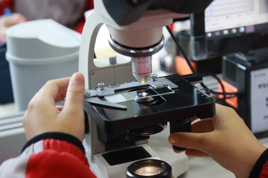 上海生命科学教师待遇,上海生命科学教师待遇如何