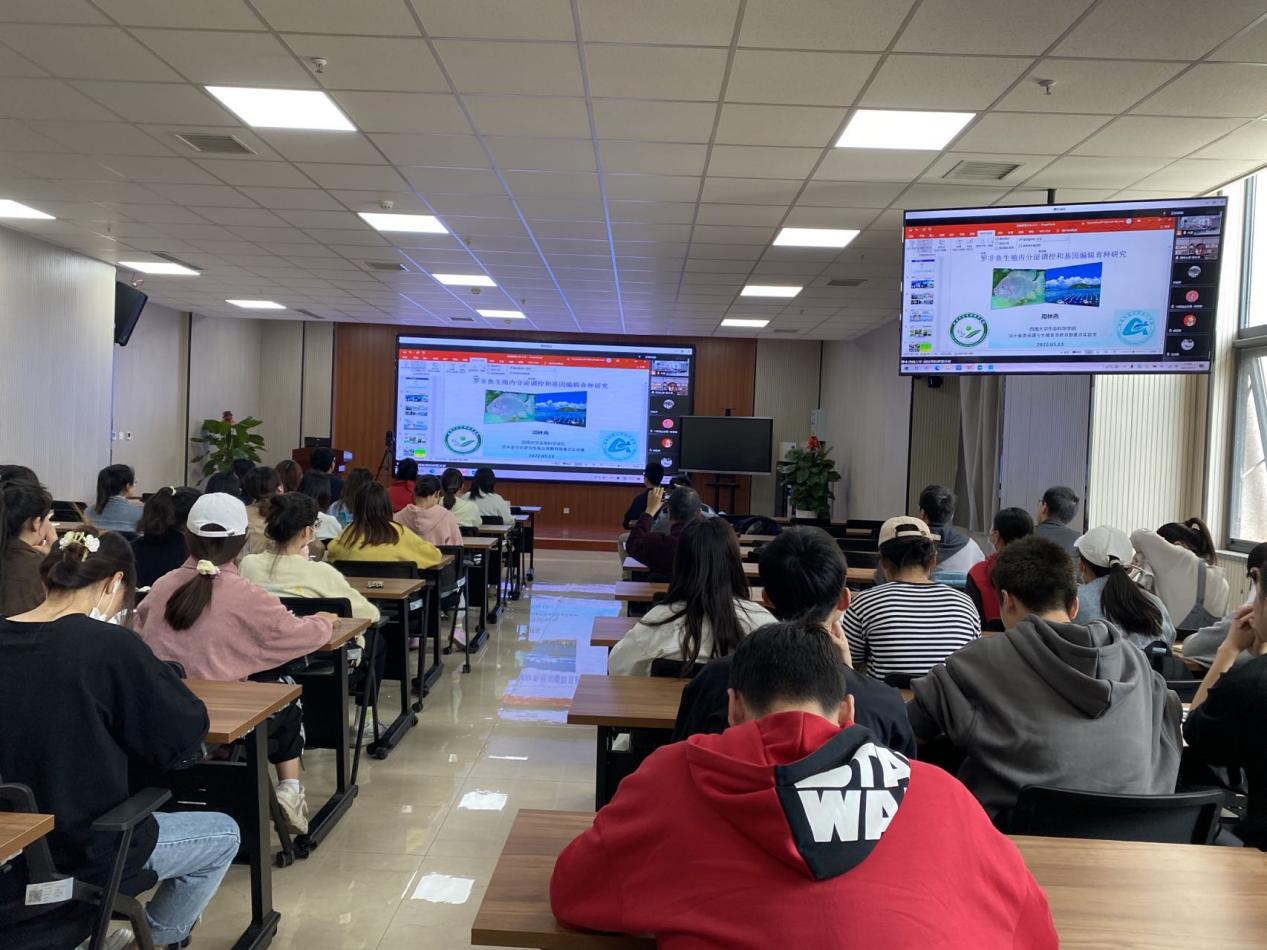 大连闻达生命科学院,佟丽娅访谈回应与陈思诚婚变 大连闻达生命科学院,佟丽娅访谈回应与陈思诚婚变