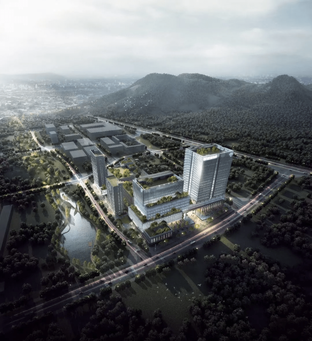 生命科学园到和平西桥,生命和平希望代表什么颜色 生命科学园到和平西桥,生命和平希望代表什么颜色