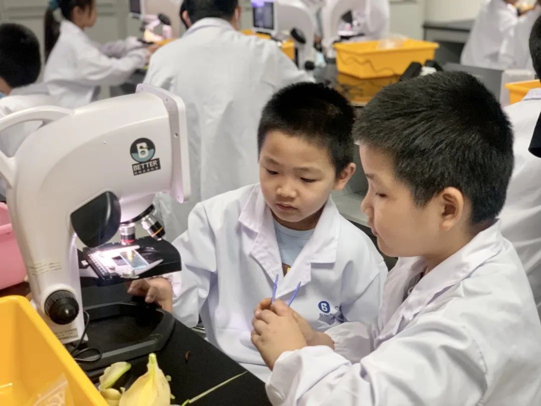 生命科学日常研究,生命科学研究的前沿