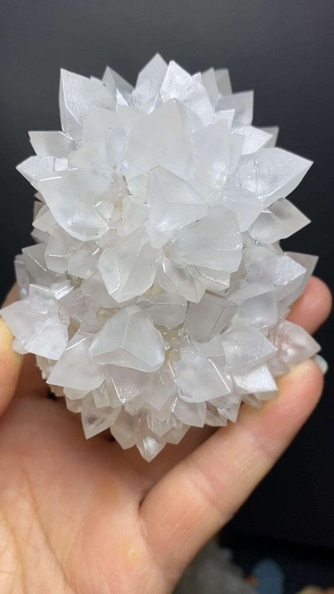生命科学的结晶,生命科学的结晶有哪些 生命科学的结晶,生命科学的结晶有哪些