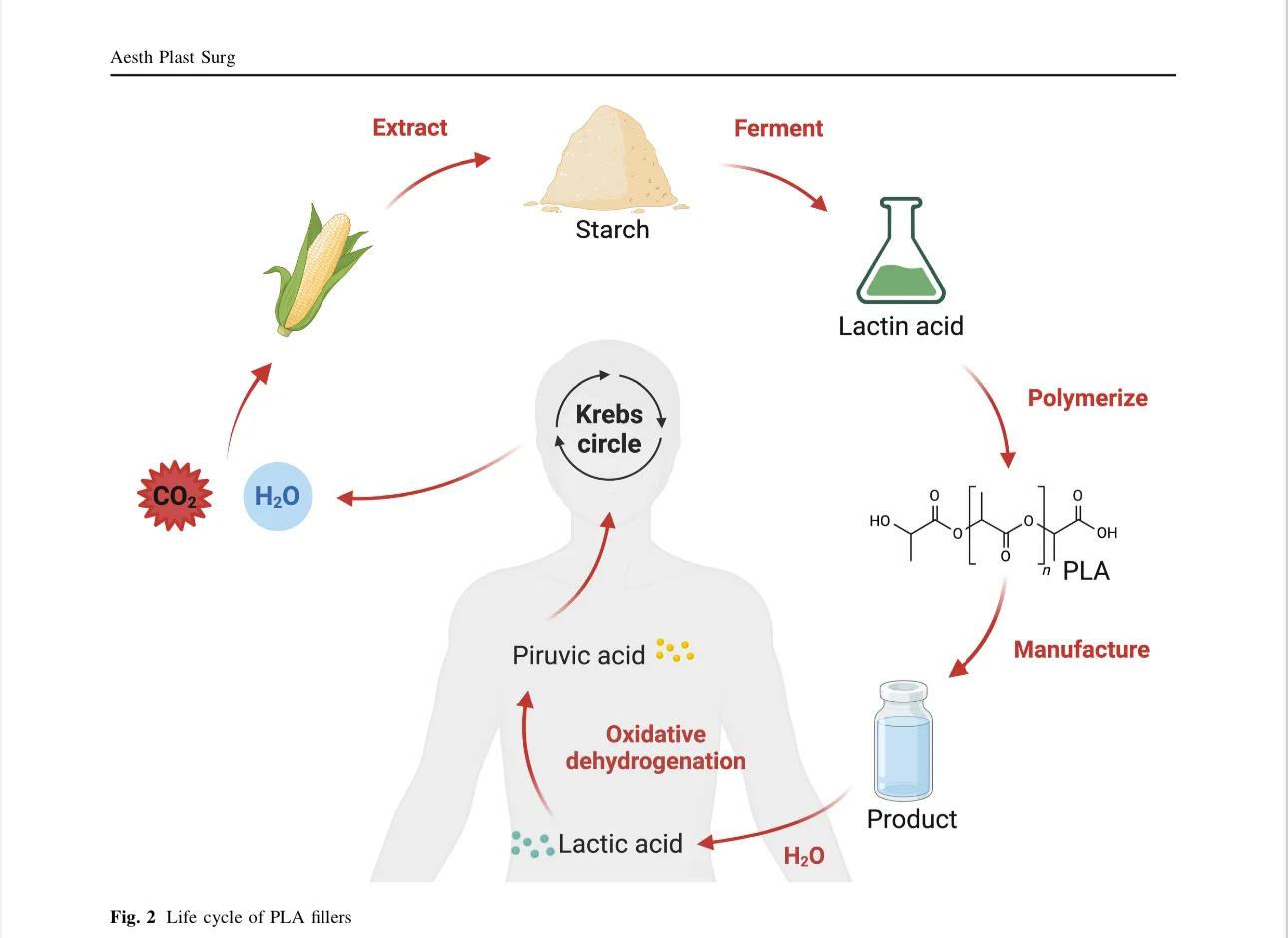 世界分为物理和生物,物理世界是现实世界吗 世界分为物理和生物,物理世界是现实世界吗