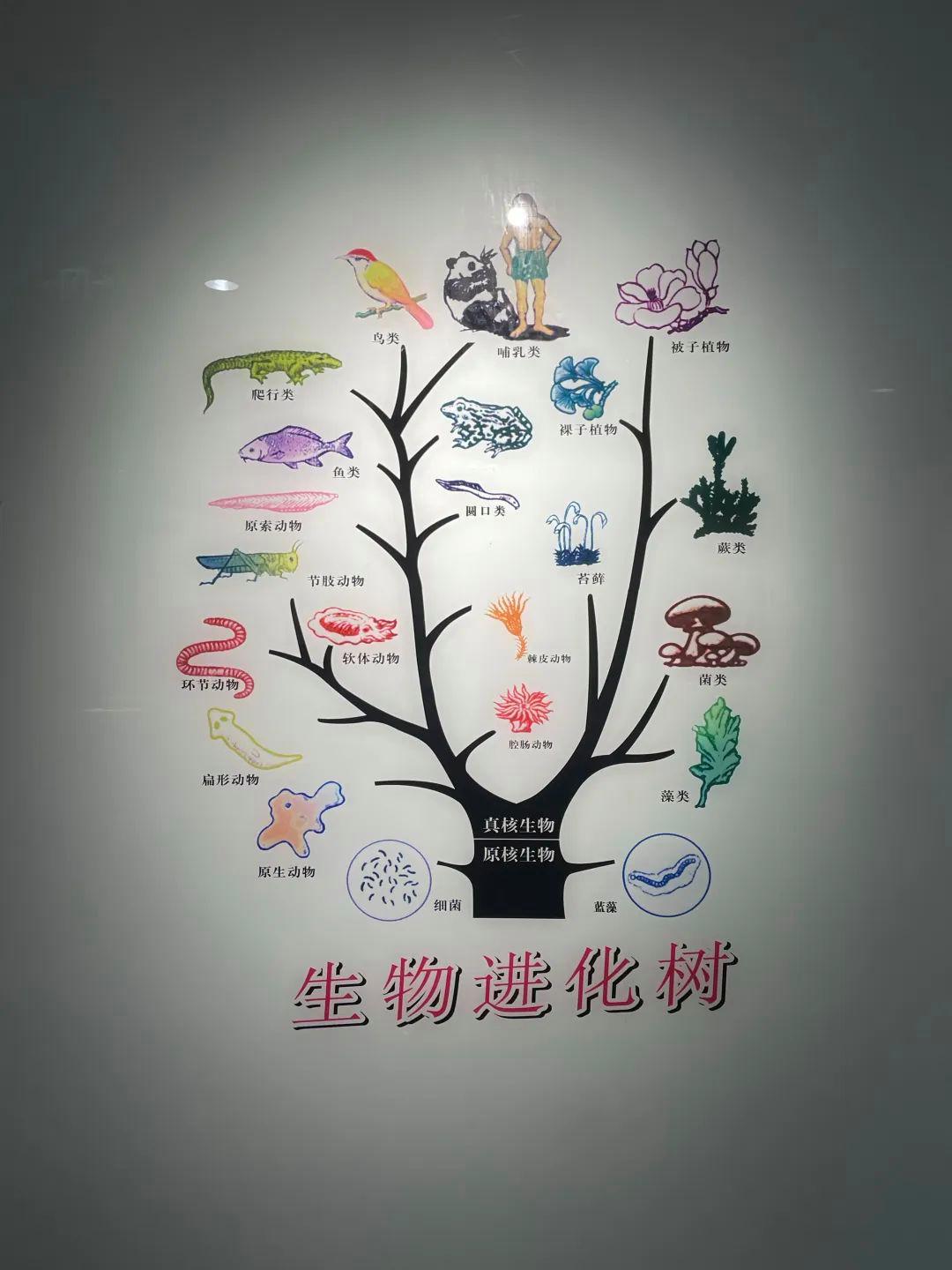 生命科学领域学科分类,生命科学领域学科分类有哪些 生命科学领域学科分类,生命科学领域学科分类有哪些