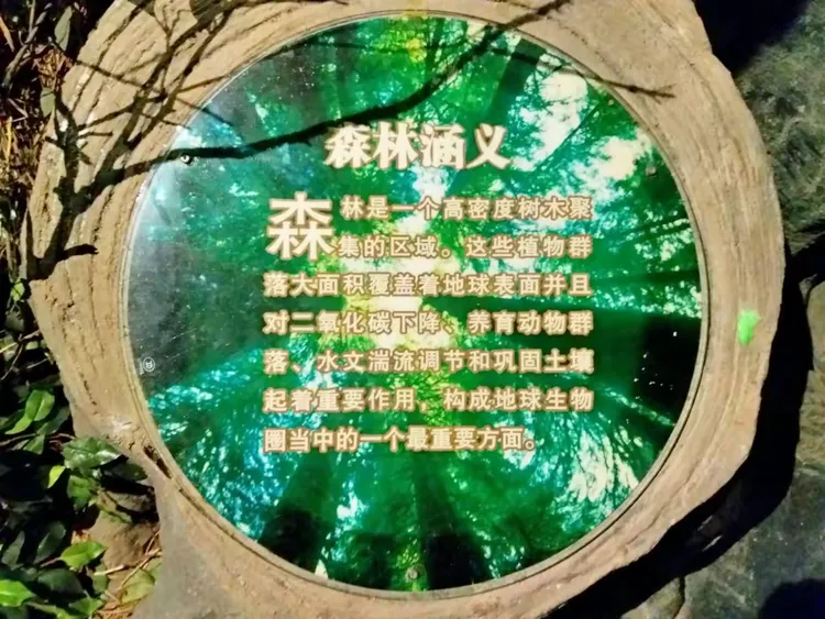 浙师大地球科学,浙师大的地理科学专业排名 浙师大地球科学,浙师大的地理科学专业排名