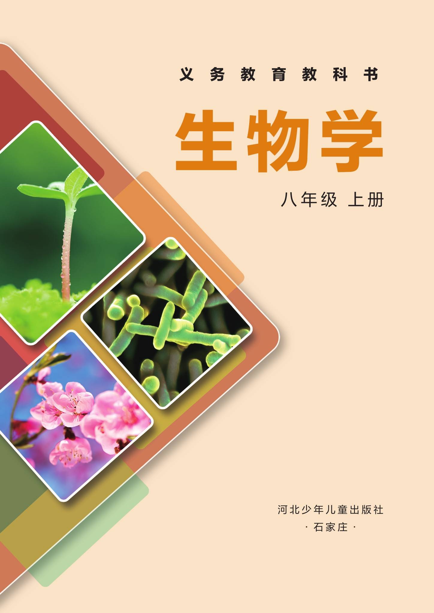 初二第二学期生命科学,八年级上册生物生命科学 初二第二学期生命科学,八年级上册生物生命科学