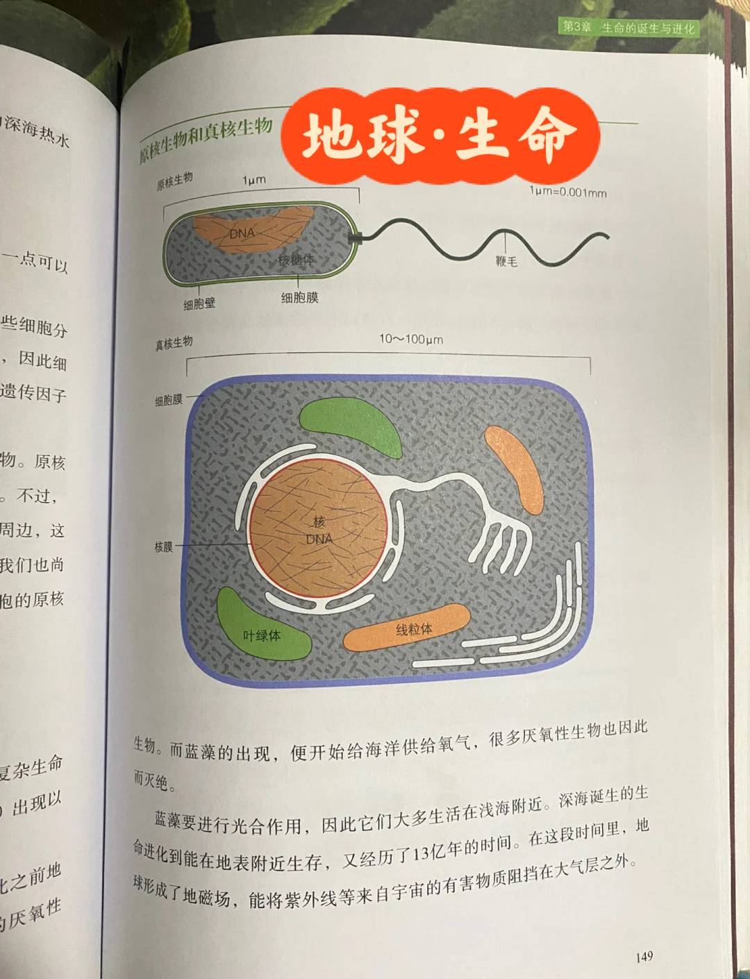 什么是生命科学项目呢,什么是生命科学项目呢图片
