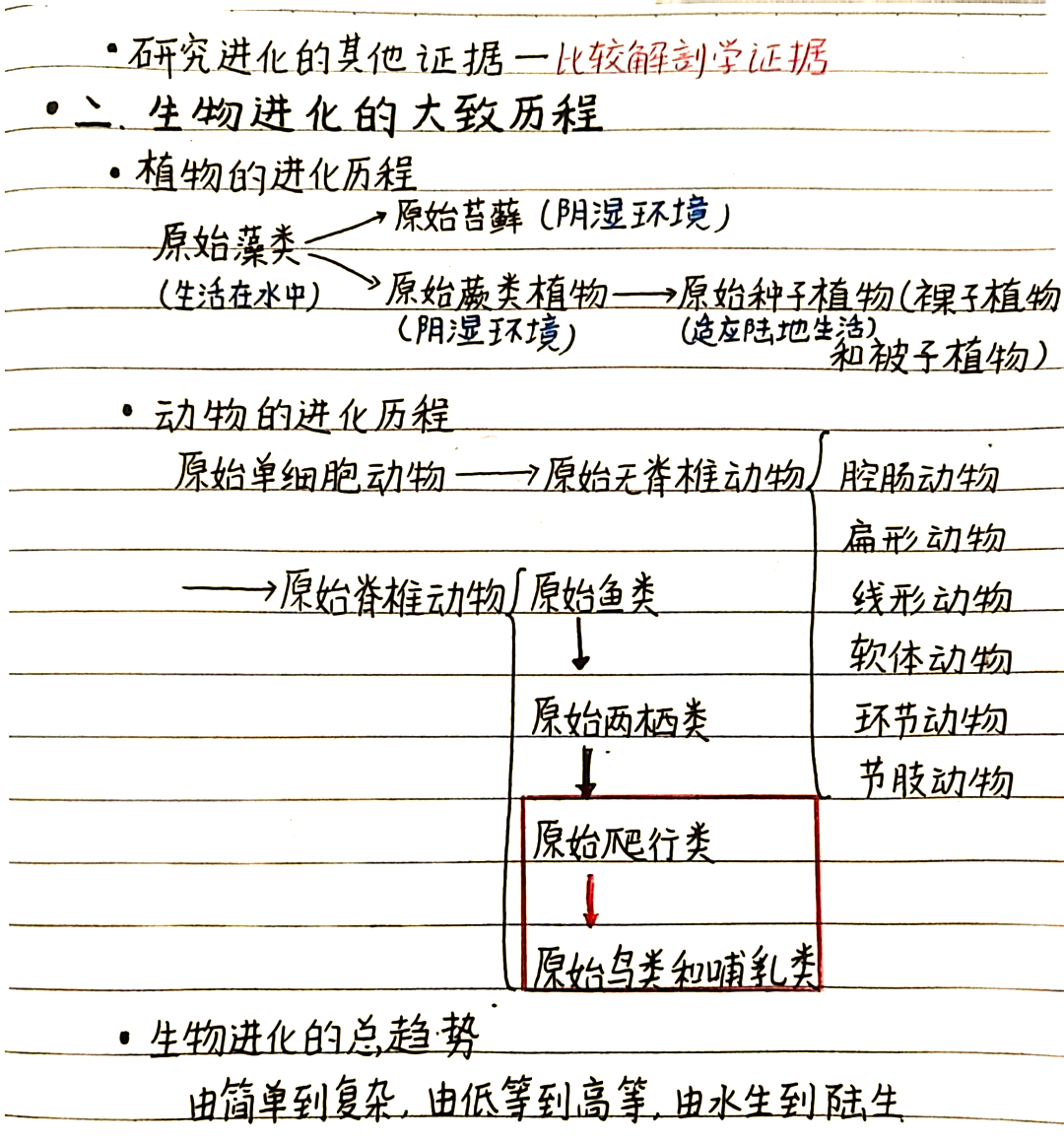 生命科学与导论论文,生命科学导论论文1500字