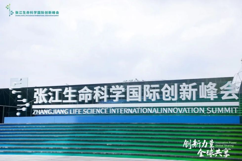 生命科学院张江,中国科学院上海生命科学研究院张宇