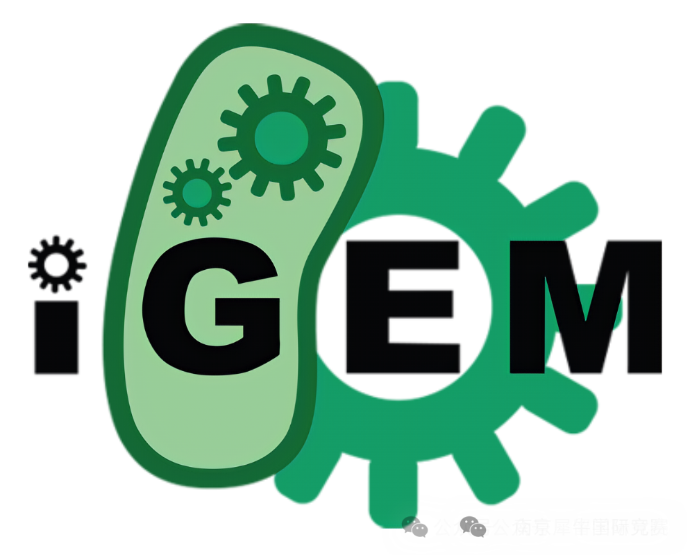 igem生命科学,一口高压锅划拳歌视频 igem生命科学,一口高压锅划拳歌视频