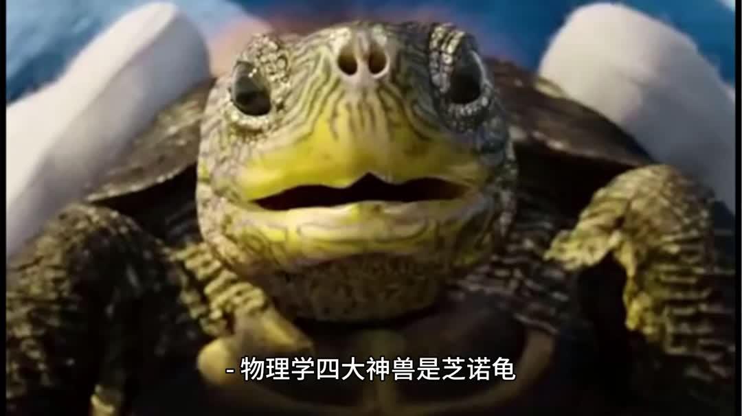 世界四大物理神兽是谁,物理界四大神兽有几个被推翻了的 世界四大物理神兽是谁,物理界四大神兽有几个被推翻了的